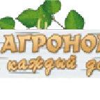 Solomon аватар